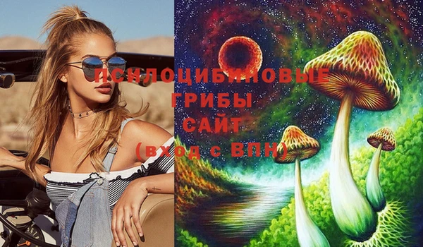 спайс Арсеньев
