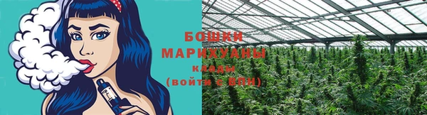 спайс Арсеньев