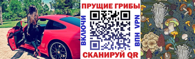 Псилоцибиновые грибы MAGIC MUSHROOMS  OMG рабочий сайт  Курган 