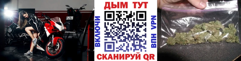 mega вход  Курган  Каннабис индика 